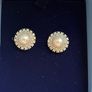 Newbridge Earrings Image 2