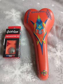Rabobank Hoskar san Marco Rolls Colnago Saddle