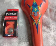 Rabobank Hoskar san Marco Rolls Colnago Saddle