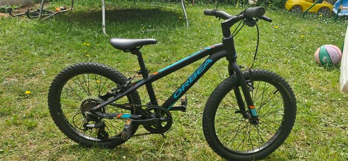 Orbea MX20