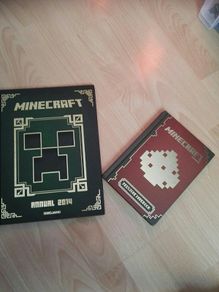 Minecraft books
