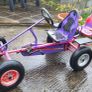 Berg Go-Karts Image 3