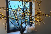 Light up Tree