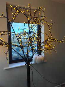 Light up Tree