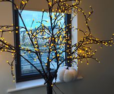 Light up Tree