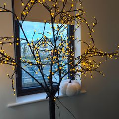 Light up Tree