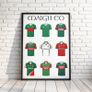 Irish Gaelic Football and Hurling GAA County Poster, A History of each County Image 9