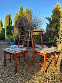 Mid Century Dining Chairs