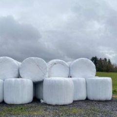 Silage for sale