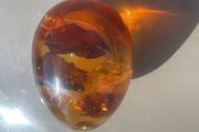Vintage Amber Resin Egg