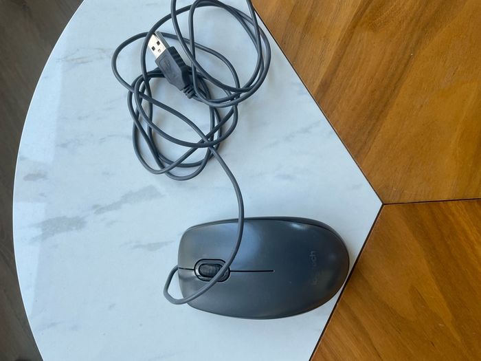Mouse