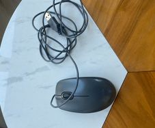 Mouse