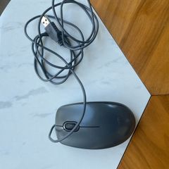 Mouse