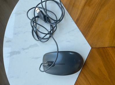 Mouse