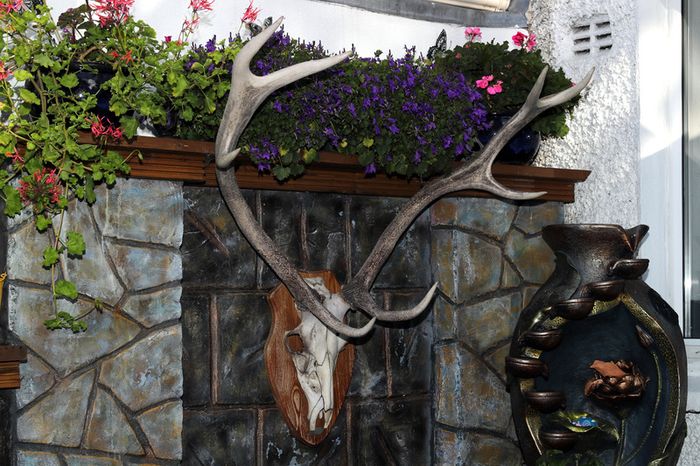 Antlers