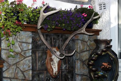 Antlers