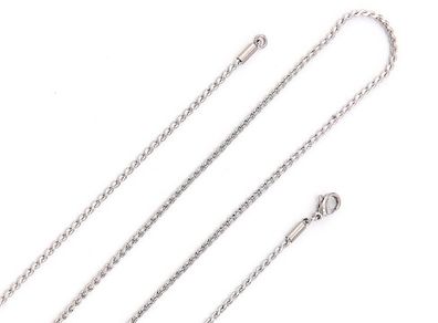 Long Chain - Stainless Steel