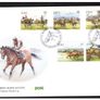 Collection 1996 Ireland Commemorative Stamps An Post First Day Cover (FDC). Collection of 13 covers Image 4