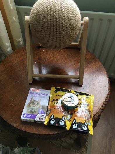 Bundle for cats