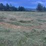 Hay bales Image 2