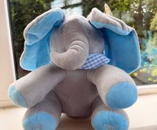 Peakaboo elephant