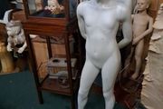 Teenage Mannequin