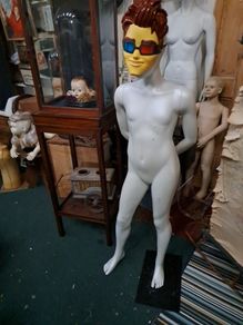 Teenage Mannequin