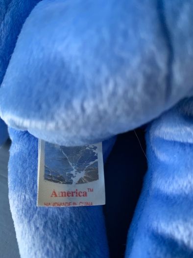 TY Bear America