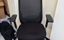 Office chair with mesh back