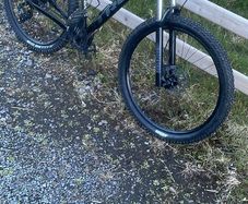 Trek marlin