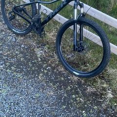Trek marlin