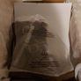 Brand New Ugg Boots Image 4