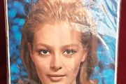 BEAR BRAND, Vintage Micro mesh nylons, BN unopened in oavkagevintage stockings