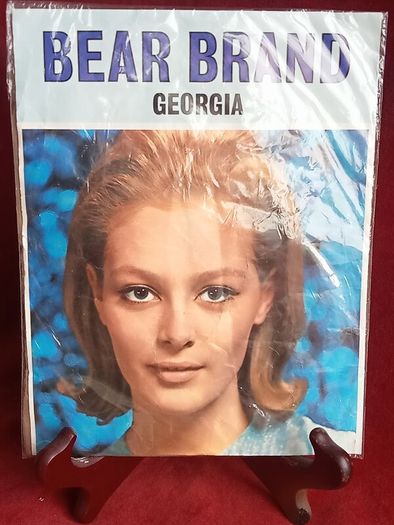 BEAR BRAND, Vintage Micro mesh nylons, BN unopened in oavkagevintage stockings