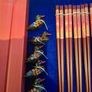 Chop sticks Image 3