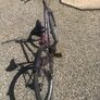 Falcon intercepter girls bike Image 2
