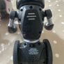 Robots cat and mouse and balancing with serving tray Image 2