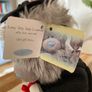 Original Me to You bear- on your graduation Image 3