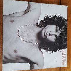 vinyl