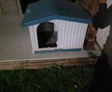 dog kennel