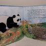 Little Panda, A Soft To Touch large Hardback Book Image 8