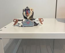 Jim Shore - Disney Tradition - Rafiki