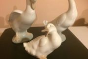 nao duck family free postage