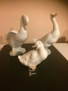 nao duck family free postage