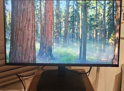 monitor