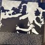 Neil Young with Pearl Jam - Mirrorball (First Press) Image 10