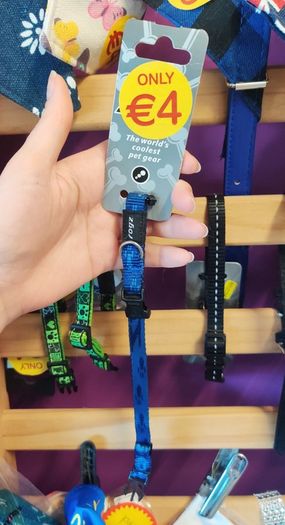 Dog collars on sale