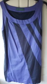Skunk Funk Purple and Navy  Dress