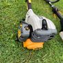 Strimmer Image 5