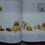 New complete dog training manual,Dr Bruce Fogle, Hardback book, Book,Non fiction Image 4